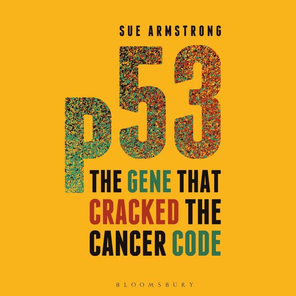 p53 - Sue Armstrong, Audio, 9781399431408