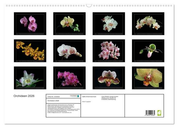 Produktbild: Orchideen 2026 (Wandkalender 2026 DIN A2 quer), CALVENDO Monatskalender