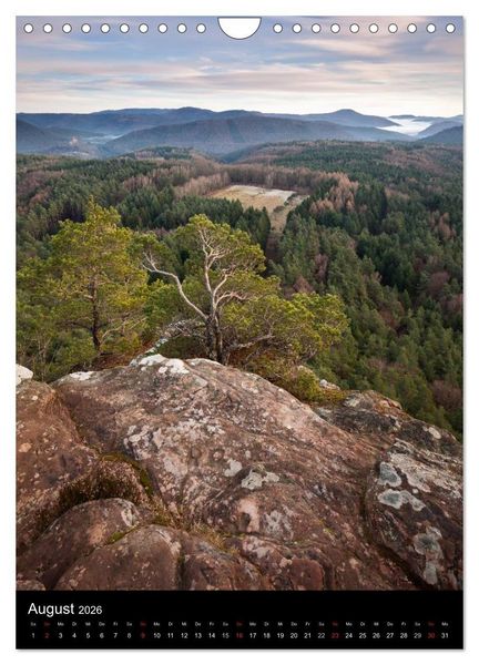 Produktbild: NATURWUNDER PF&Auml;LZERWALD (Wandkalender 2026 DIN A4 hoch), CALVENDO Monatskalender