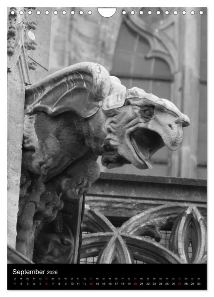 Produktbild: Wasserspeier am Ulmer M&uuml;nster (Wandkalender 2026 DIN A4 hoch), CALVENDO Monatskalender