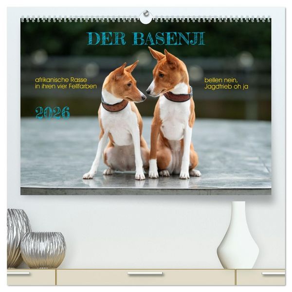 Der Basenji (hochwertiger Premium Wandkalender 2026 DIN A2 quer), Kunstdruck in Hochglanz