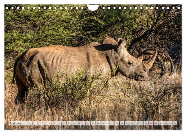 Produktbild: Abenteuerliches Namibia (Wandkalender 2026 DIN A4 quer), CALVENDO Monatskalender