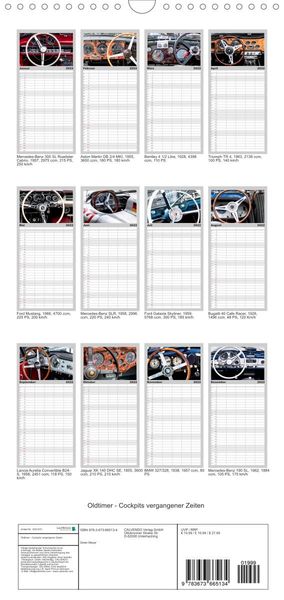 Produktbild: Familienplaner Oldtimer - Cockpits vergangener Zeiten (Wandkalender 2022 , 21 cm x 45 cm, hoch)