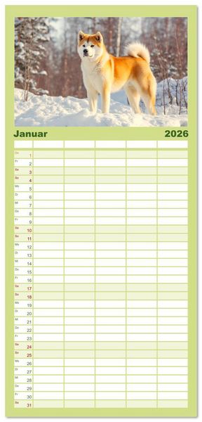 Produktbild: Familienplaner 2026 - Akita Inu in der Natur. Japans edle und sanfte Sch&ouml;nheit mit 5 Spalten (Wandkalender, 21 x 45 cm) CALVENDO