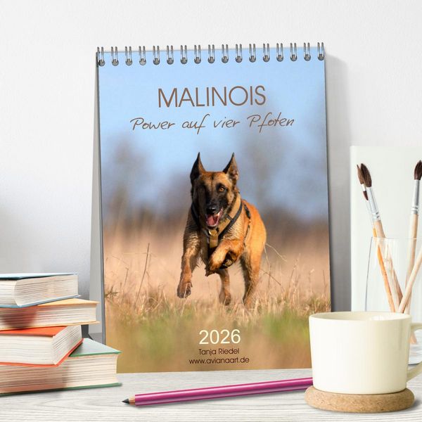 Produktbild: Malinois Power auf vier Pfoten (Tischkalender 2026 DIN A5 hoch), CALVENDO Monatskalender