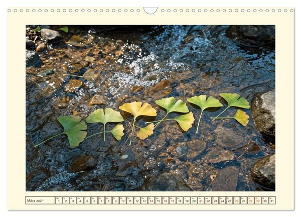 Produktbild: Gestaltete Stille - Wo die Natur zur Skulptur wird (Wandkalender 2027 DIN A3 quer), CALVENDO Monatskalender