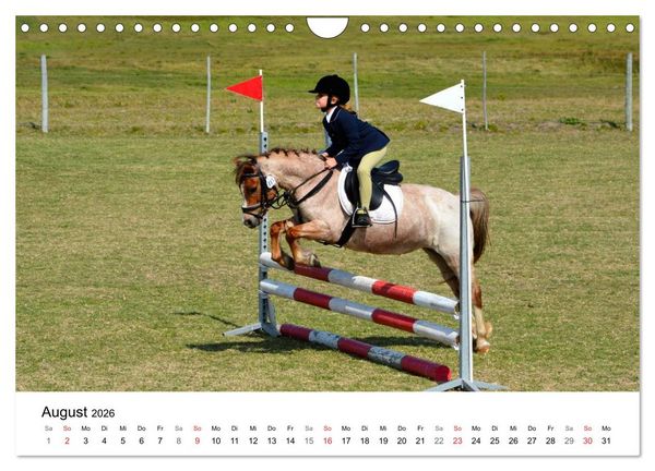 Produktbild: Vielseitigkeitsreiten (Wandkalender 2026 DIN A4 quer), CALVENDO Monatskalender