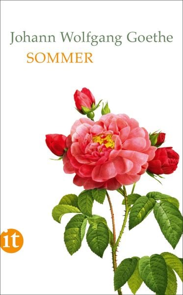 Produktbild: Sommer