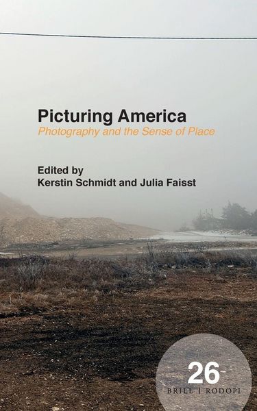 Produktbild: Picturing America