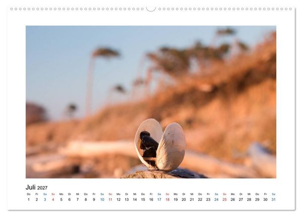 Produktbild: Mehr vom Meer: Sehnsuchtskalender f&uuml;r Ostseeliebhaber (Wandkalender 2027 DIN A2 quer), CALVENDO Monatskalender