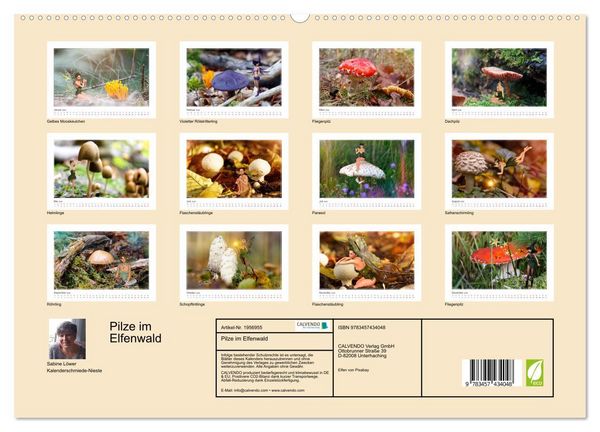 Produktbild: Pilze im Elfenwald (hochwertiger Premium Wandkalender 2026 DIN A2 quer), Kunstdruck in Hochglanz