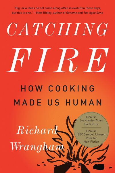 Produktbild: Catching Fire