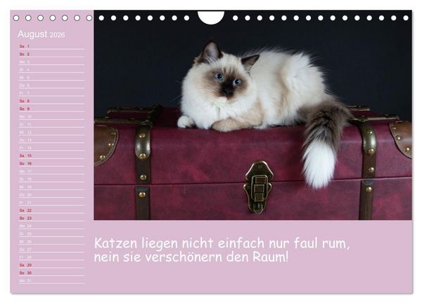 Produktbild: Drollige Tierkinder Mit Spr&uuml;chen (Wandkalender 2026 DIN A4 quer), CALVENDO Monatskalender