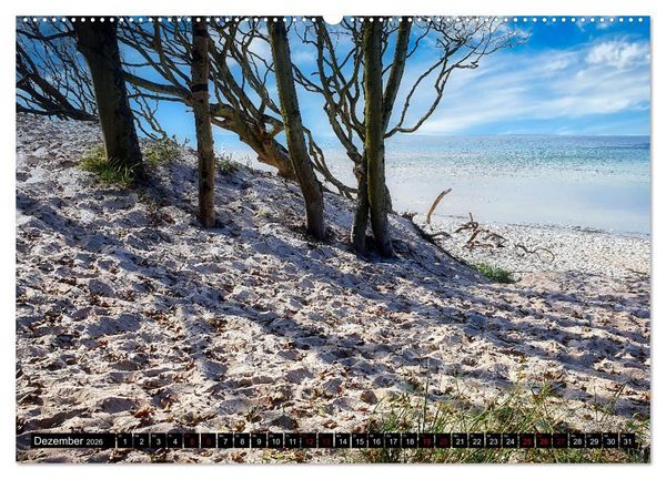 Produktbild: Fischland - Dar&szlig;- Zingst (Wandkalender 2026 DIN A2 quer), CALVENDO Monatskalender