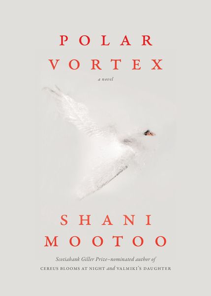 Produktbild: Polar Vortex