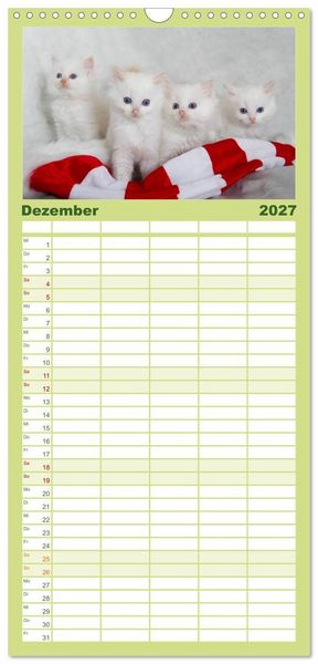 Produktbild: Familienplaner 2027 - Ragdoll Kitten mit 5 Spalten (Wandkalender, 21 x 45 cm) CALVENDO