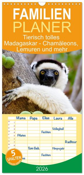 Produktbild: Familienplaner 2026 - Tierisch tolles Madagaskar - Cham&auml;leons, Lemuren und mehr mit 5 Spalten (Wandkalender, 21 x 45 cm) CALVENDO