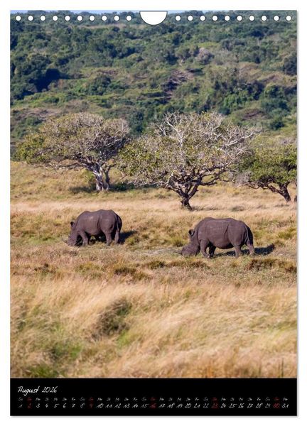 Produktbild: S&uuml;dafrika - Sehenswerte Panorama Route (Wandkalender 2026 DIN A4 hoch), CALVENDO Monatskalender