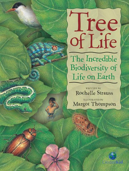Produktbild: Tree of Life