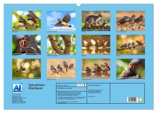 Produktbild: Zebrafinken Abenteuer (Wandkalender 2027 DIN A2 quer), CALVENDO Monatskalender
