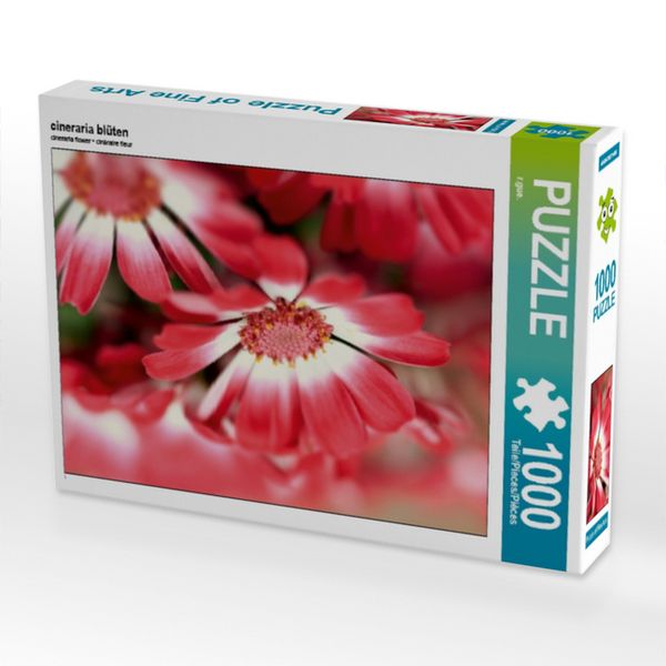 Produktbild: CALVENDO Puzzle cineraria bl&uuml;ten | 1000 Teile Lege-Gr&ouml;&szlig;e 64x48cm Foto-Puzzle f&uuml;r gl&uuml;ckliche Stunden