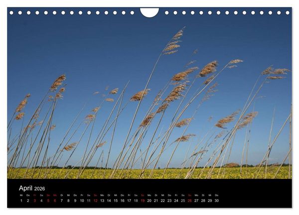 Produktbild: Wunderbare Nordsee (Wandkalender 2026 DIN A4 quer), CALVENDO Monatskalender