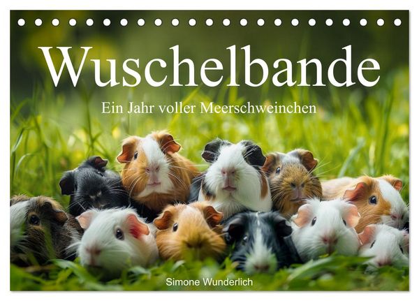 Wuschelbande - Ein Jahr voller Meerschweinchen (Tischkalender 2026 DIN A5 quer), CALVENDO Monatskalender