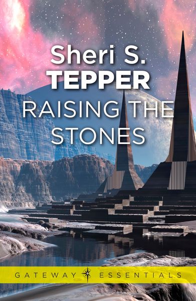 Produktbild: Raising The Stones