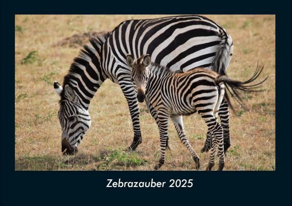 Produktbild: Zebrazauber 2025 Fotokalender DIN A4