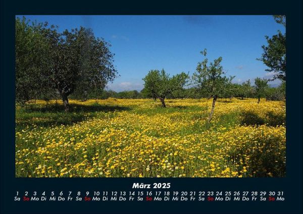 Produktbild: Bilder der Natur 2025 Fotokalender DIN A4