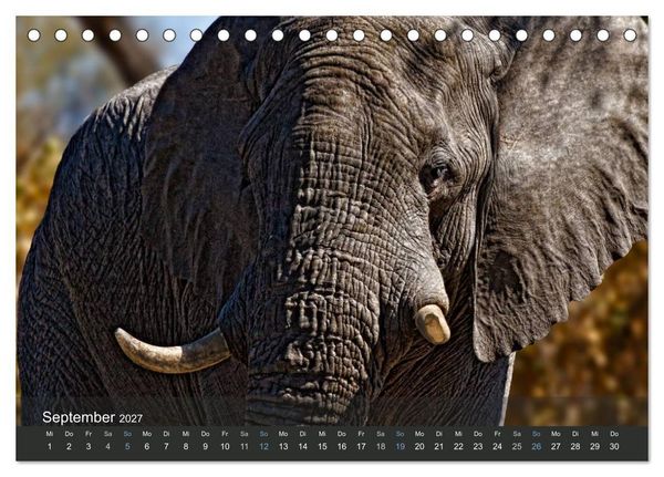 Produktbild: Elefanten (Tischkalender 2027 DIN A5 quer), CALVENDO Monatskalender