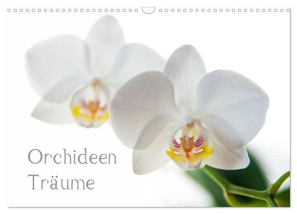 Produktbild: Orchideen Tr&auml;ume (Wandkalender 2026 DIN A3 quer), CALVENDO Monatskalender