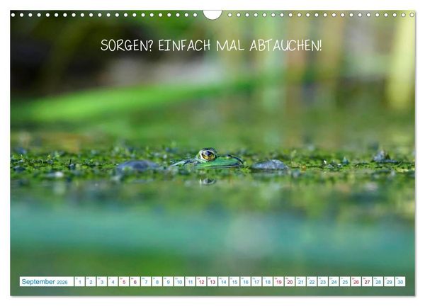 Produktbild: Humorvolles aus der Tierwelt (Wandkalender 2026 DIN A3 quer), CALVENDO Monatskalender