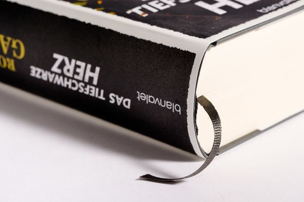 Produktbild: Das tiefschwarze Herz