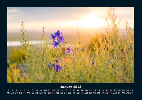 Produktbild: Blumenkalender 2025 Fotokalender DIN A4