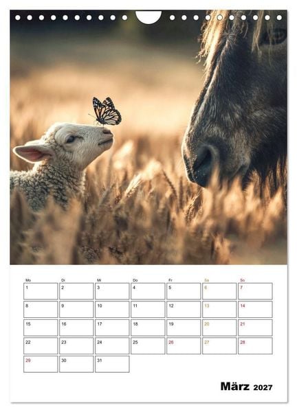Produktbild: Ein Herz und eine Schnauze - Ein tierisch buntes Miteinander (Wandkalender 2027 DIN A4 hoch), CALVENDO Monatskalender