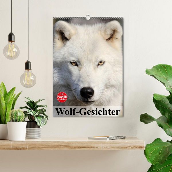 Produktbild: Wolf-Gesichter (Wandkalender 2026 DIN A3 hoch), CALVENDO Monatskalender