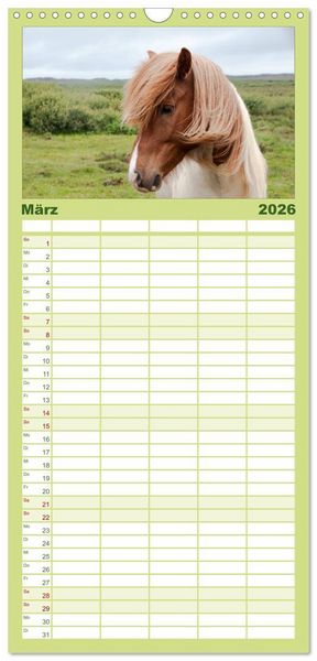 Produktbild: Familienplaner 2026 - Charakterk&ouml;pfe Islandpferde mit 5 Spalten (Wandkalender, 21 x 45 cm) CALVENDO