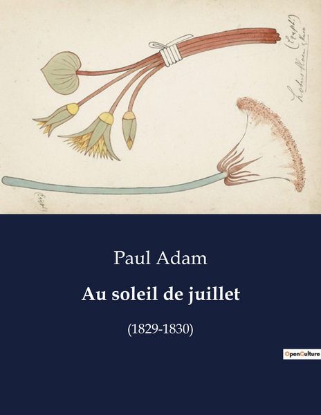 Produktbild: Au soleil de juillet