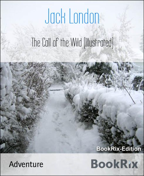 Produktbild: The Call of the Wild (Illustrated)