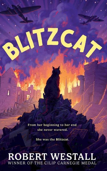 Produktbild: Blitzcat