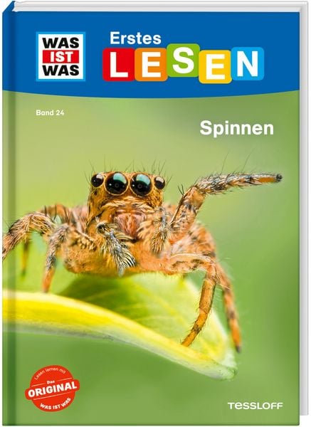 Produktbild: WAS IST WAS Erstes Lesen Band 24. Spinnen
