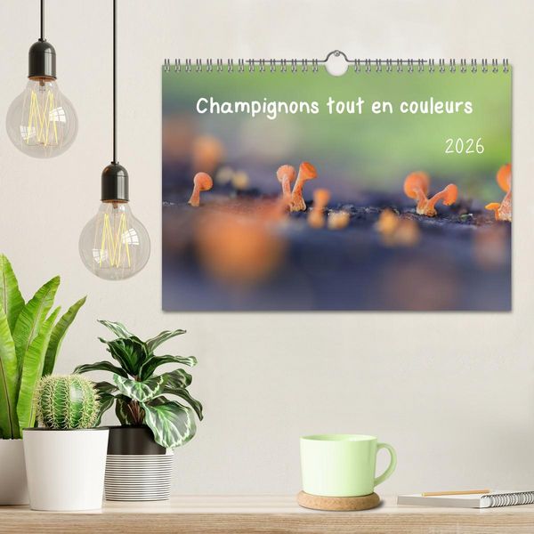 Produktbild: Champignons tout en couleurs (Calendrier mural 2026 DIN A4 vertical), CALVENDO calendrier mensuel