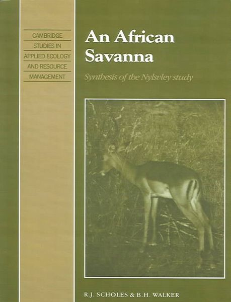 Produktbild: An African Savanna