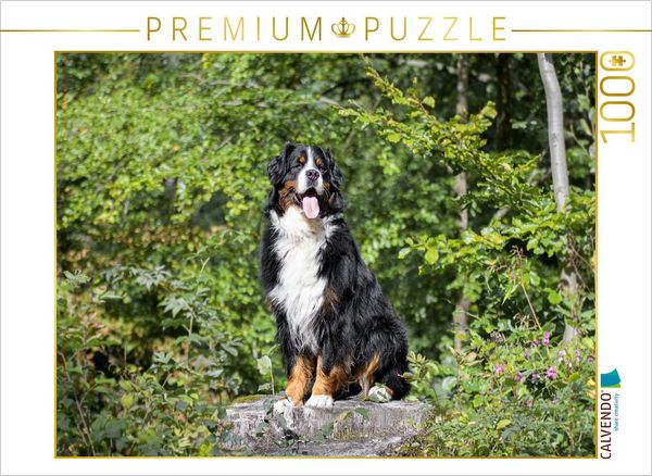CALVENDO Puzzle Mein Reich | 1000 Teile Lege-Größe 64x48cm Foto-Puzzle für glückliche Stunden