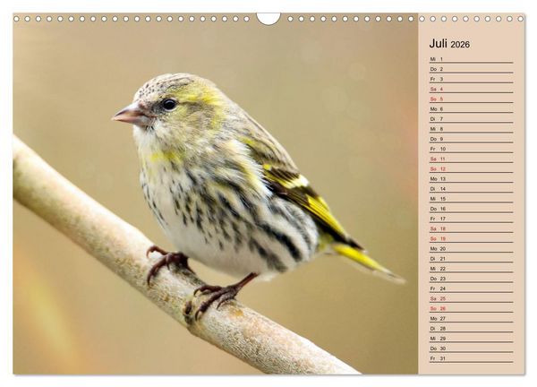 Produktbild: Erlenzeisige (Wandkalender 2026 DIN A3 quer), CALVENDO Monatskalender