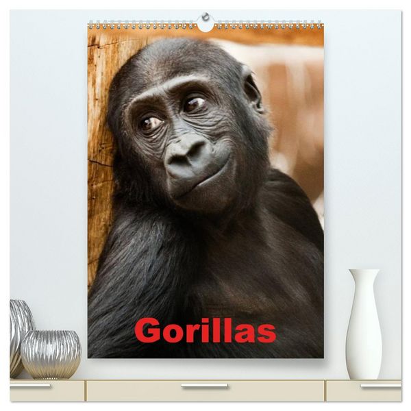 Produktbild: Gorillas (hochwertiger Premium Wandkalender 2026 DIN A2 hoch), Kunstdruck in Hochglanz