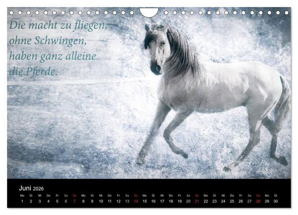Produktbild: Pferde zum Tr&auml;umen (Wandkalender 2026 DIN A4 quer), CALVENDO Monatskalender
