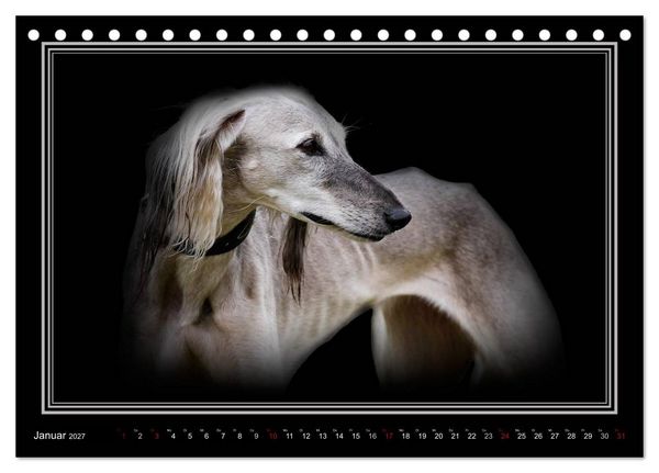 Produktbild: Saluki 2027 (Tischkalender 2027 DIN A5 quer), CALVENDO Monatskalender