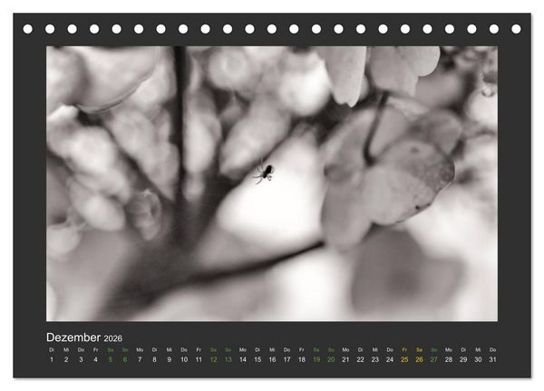 Produktbild: Pflanzen in Schwarz und Wei&szlig; (Tischkalender 2026 DIN A5 quer), CALVENDO Monatskalender